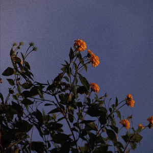 美女光屁屁18禁灌肠济
